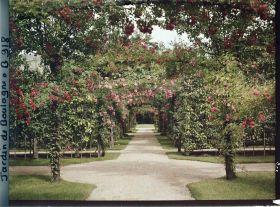 Image représentant Axe central du verger-roseraie vu vers le jardin anglais, depuis le second carrefour côté dépendance