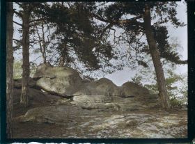 Image représentant France, Fontainebleau, Forêt de Fontainebleau