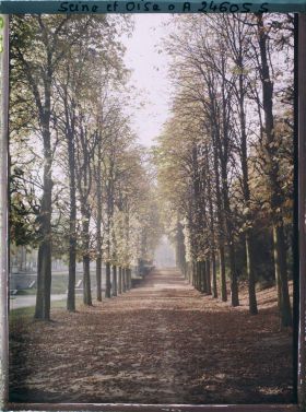 Image représentant L'allée de la Carrière dans le petit parc