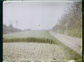 Image représentant Ile de France, Bessancourt, Champ de seigle