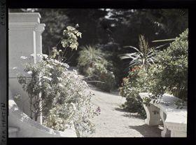 Image représentant Villa Miramar fleurs près du perron