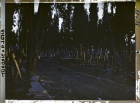 Image représentant Turquie, Constantinople, Soleil Couchant au Cimetière de Teckfour- Seraï