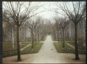 Image représentant Axe central du verger-roseraie vu en direction du jardin anglais depuis le rond-point côté dépendance