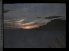 Image représentant Plantes exotiques se découpant dans le soleil couchant, en direction de Monaco