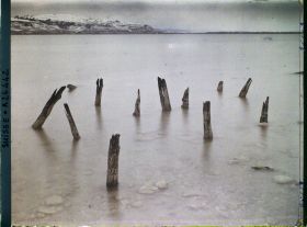 Image représentant Site palafittique préhistorique des Alpes, pieux en bois visibles lors de la baisse des eaux après la grande sécheresse de 1921