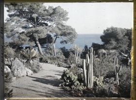 Image représentant Le Jardin, vue vers la mer
