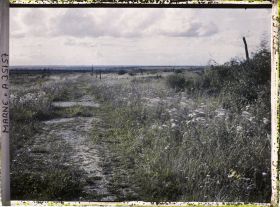Image représentant France, Vienne le Château , Sortie Ouest du Bois de la Gruerie par ce qui était la route de Varennes à Servon