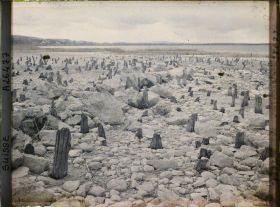 Image représentant Site palafittique préhistorique des Alpes, pieux en bois visibles lors de la baisse des eaux après la grande sécheresse de 1921