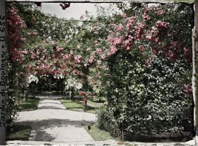 Image représentant Axe central du verger-roseraie vu près du second carrefour avant la dépendance