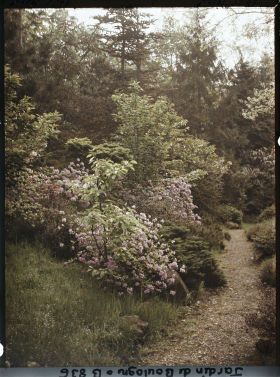 Image représentant Talus fleuri du " village japonais " longeant le jardin français, en direction du jardin anglais