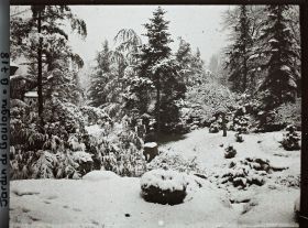 Image représentant Coin de jardin proche de la maison ouest du " village japonais " sous la neige