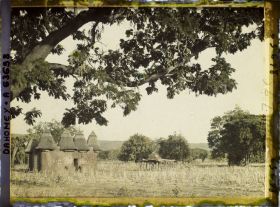 Image représentant Tata (case) somba et plate-forme à sécher le mil