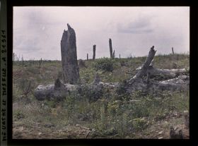 Image représentant France, Bois le Prêtre, Les lignes Françaises vers la tranchée des Carmes, vue des lignes Allemandes