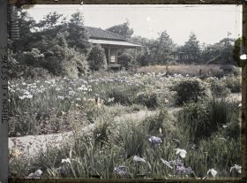 Image représentant Jardin d'iris de Horikiri