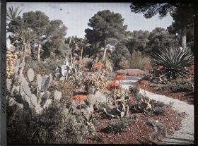 Image représentant Cap Martin - Le Jardin
