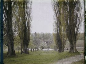 Image représentant L'allée de peupliers qui mène à l'ancien cloître clunisien de l'île Saint-Pierre reconverti en hôtel