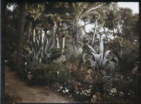 Image représentant Cap-Martin - Le Jardin