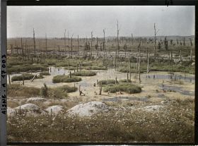 Image représentant France, Les Marais de la Cote 108 et les arbres déchiquetés