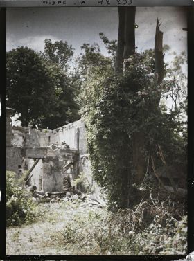 Image représentant Ruines de l'ancienne abbaye