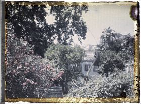 Image représentant Le palais du Bardo, le jardin