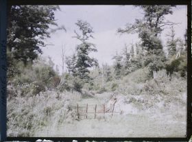 Image représentant France, De la Harazée au Four de Paris , Ravin de la Fontaine au Mortier