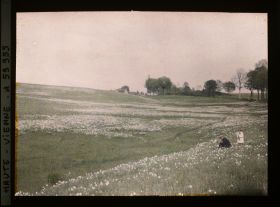 Image représentant Un homme et un enfant cueillant des fleurs dans un champ de narcisses