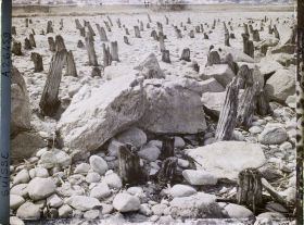 Image représentant Site palafittique préhistorique des Alpes, pieux en bois visibles lors de la baisse des eaux après la grande sécheresse de 1921