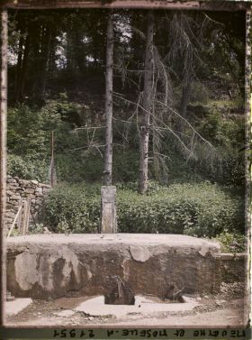 Image représentant France, Bois le Prêtre, Fontaine du Père Hilarion