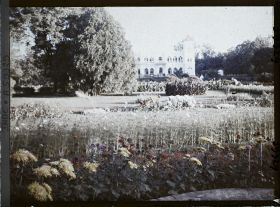 Image représentant Jardins de la Villa Buona Vista