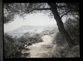 Image représentant le Jardin vue sur Menton