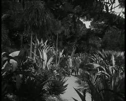 Image représentant La famille Siegfried dans la propriété d'Albert Kahn