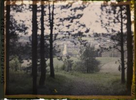 Image représentant Ile de France, Vallangoujard, Vue sur le village à travers les sapins