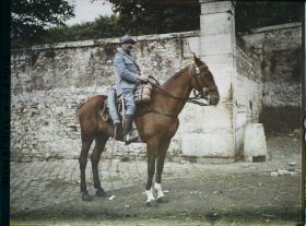 Image représentant Cheval normand de 6 ans ayant fait toute la Campagne appartenant à l'Adjudant Carry, 12ème Cuirassiers