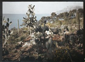 Image représentant Cap-Martin - Le Jardin