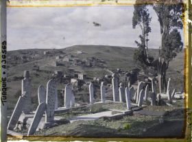 Image représentant Dalles et cippes funéraires du cimetière d'Eyüp et au fond, maisons