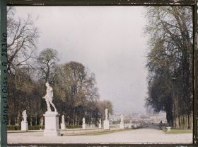 Image représentant Allée des Statues dans le parc