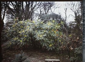 Image représentant jardins, à l'arrière plan le bâtiment abritant le Cercle autour du Monde