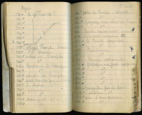 Image représentant Le sanctuaire Tôshôgû dans le parc Ueno (aussi appelé Ueno Gongen)