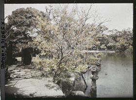 Image représentant Jardin ou parc
