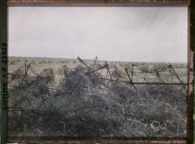 Image représentant France, Bouchavesnes, Réseaux enlevés du Champ de blé que l'on voit derrière