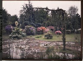Image représentant Massif de rhododendrons et d'azalées en fleurs bordant à l'est le marais, vu en direction de l'est