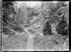 Image représentant Chemin du " sanctuaire japonais " menant au sorinto et rocaille fleurie ponctuée de conifères