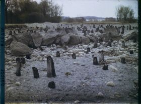 Image représentant Site palafittique préhistorique des Alpes, pieux en bois visibles lors de la baisse des eaux après la grande sécheresse de 1921