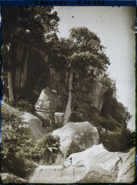 Image représentant Un kapokier à flanc de montagne