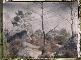 Image représentant France, Fontainebleau, Forêt de Fontainebleau