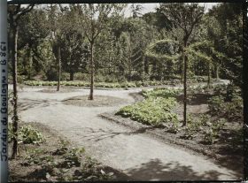 Image représentant Légumes dans une partie ouest du verger-roseraie, vue en direction de la forêt bleue ?
