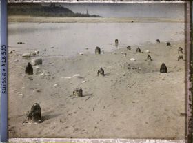 Image représentant Site palafittique préhistorique des Alpes, pieux en bois visibles lors de la baisse des eaux après la grande sécheresse de 1921 sur le lac de Neuchâtel