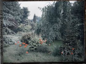 Image représentant Coquelicots bordant un " étang " du marais