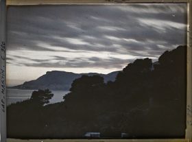 Image représentant Ligne arborée près de la villa Kahn, dite villa Zamir, se découpant à contre-jour vers Monaco