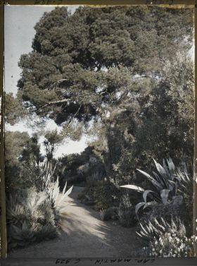 Image représentant Le Jardin (matin)